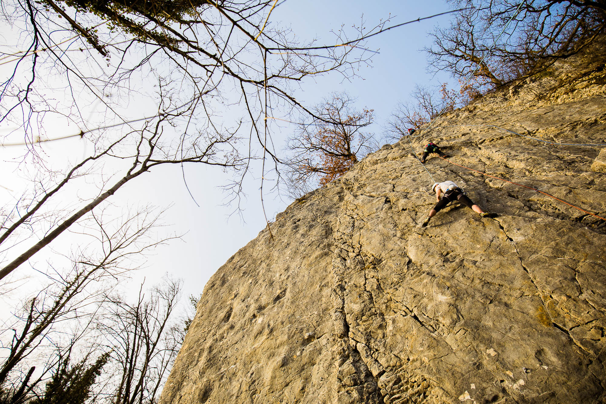 Export x3 5D4 1637 Climbing Hertenstein 2021